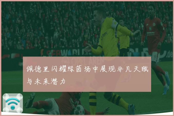 佩德里闪耀绿茵场中展现非凡天赋与未来潜力
