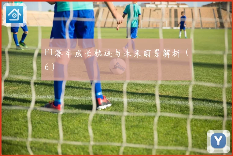 F1赛车成长轨迹与未来前景解析（6）