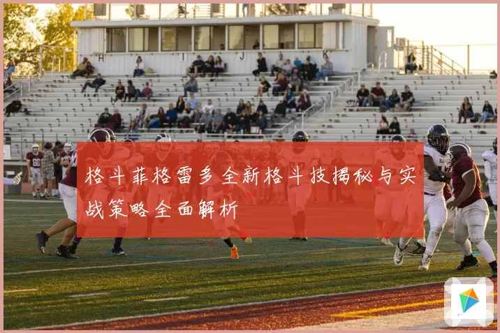 格斗菲格雷多全新格斗技揭秘与实战策略全面解析