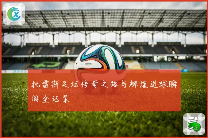 托雷斯足坛传奇之路与辉煌进球瞬间全记录