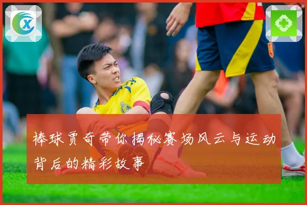 棒球贾奇带你揭秘赛场风云与运动背后的精彩故事