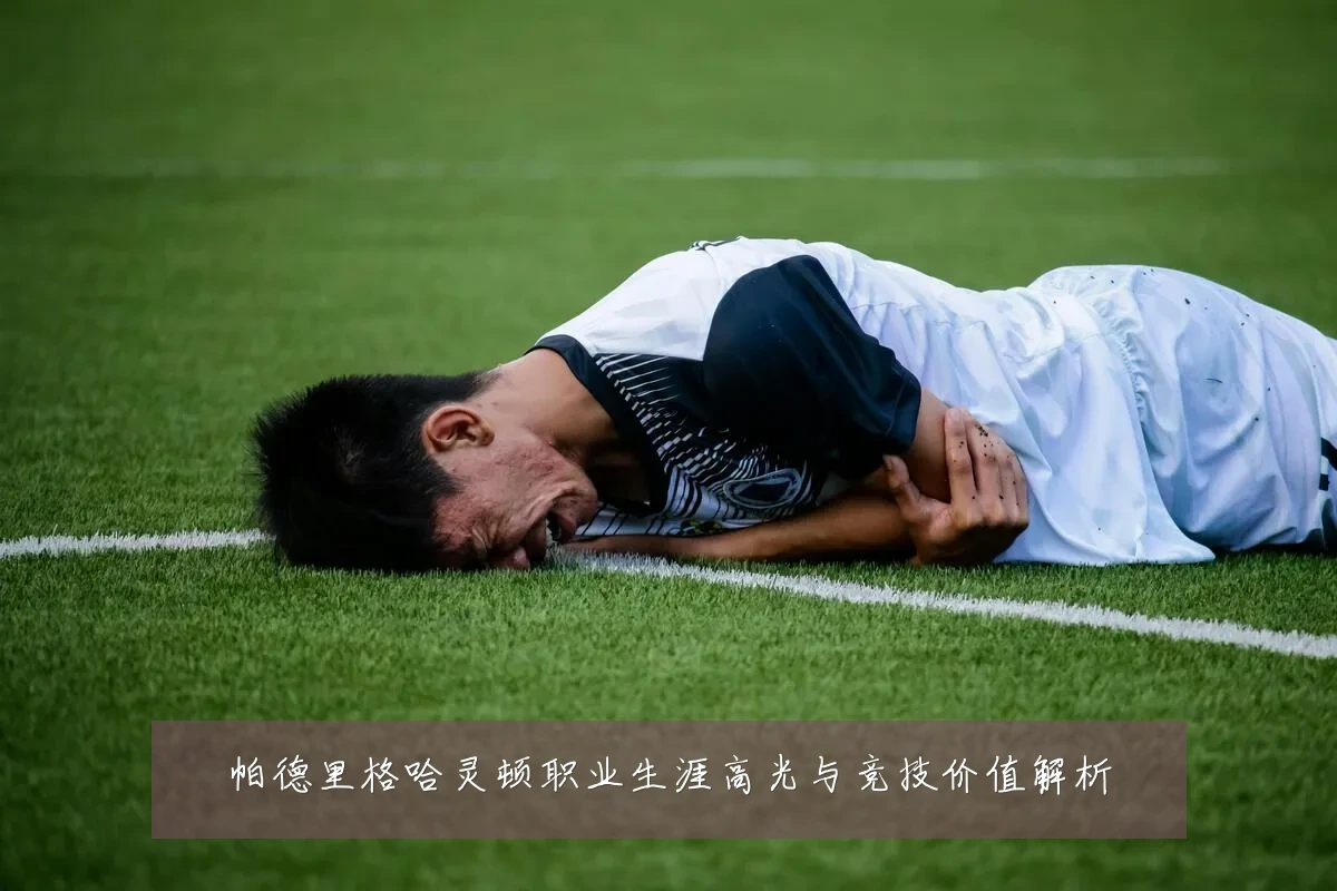 帕德里格哈灵顿职业生涯高光与竞技价值解析